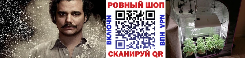 Купить наркотики цена Нижнекамск СК  Мефедрон  Псилоцибиновые грибы  ГАШ  Марихуана  COCAIN 