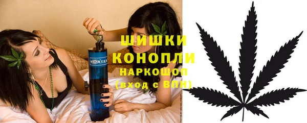 эйфоретик Коряжма