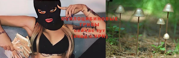 эйфоретик Коряжма