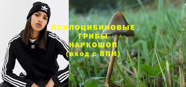 каннабис Корсаков