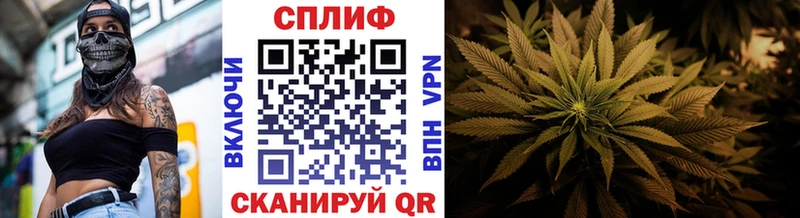 Каннабис ГИДРОПОН Нижнекамск